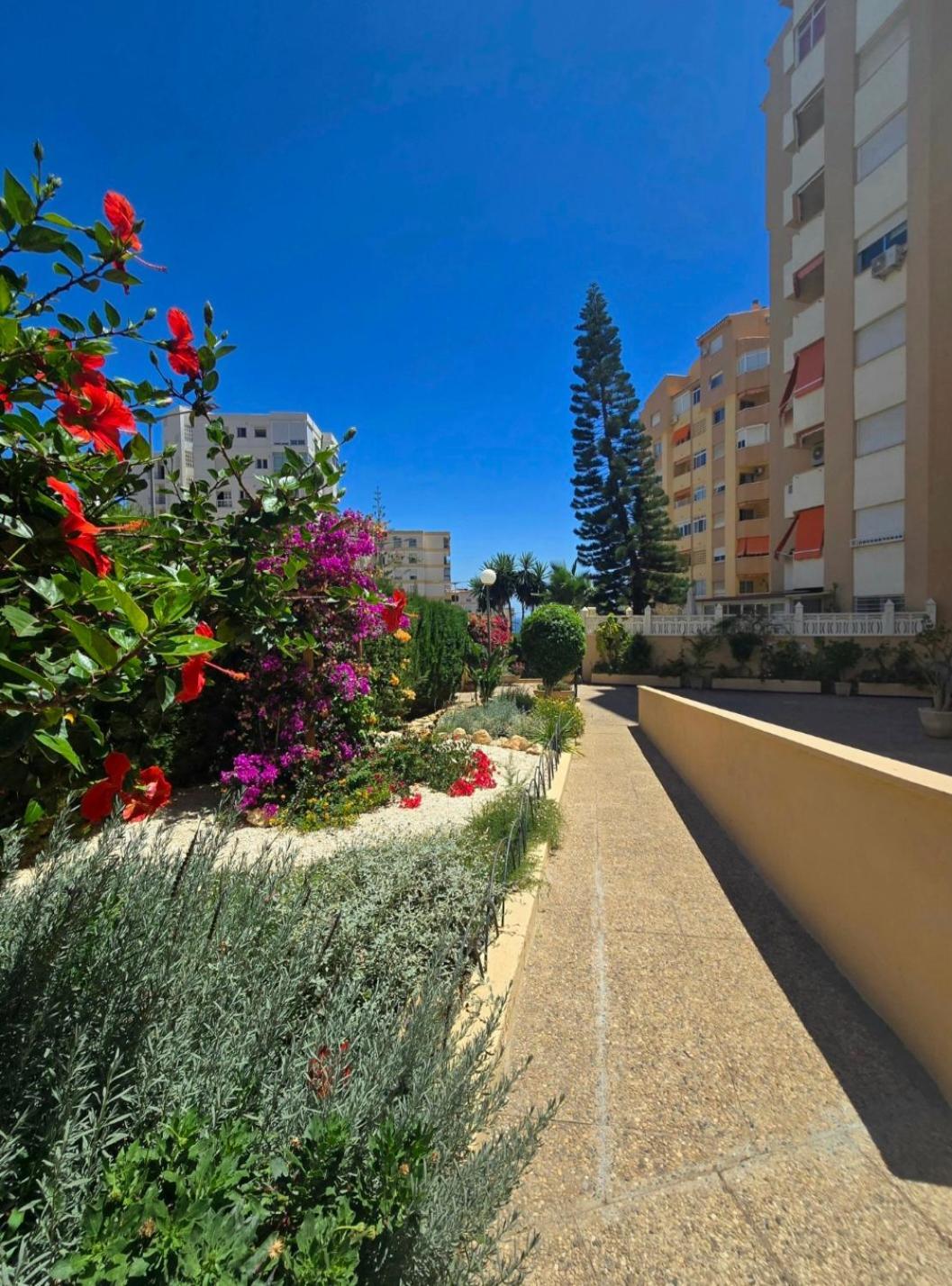 Mikasika - Duplex Apartment With Seasonal Swimming Pool & Walking Distance From The Beach La Cala Del Moral Екстериор снимка
